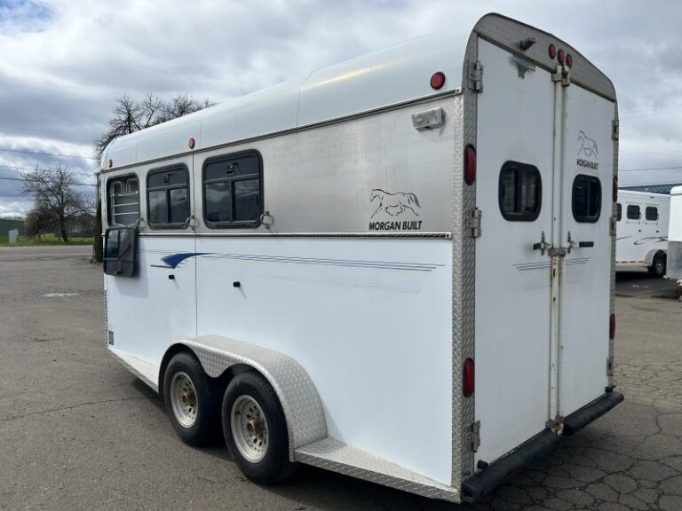 2000 Morgan Built 3 Horse Bumper Pull Horse Trailer - Image 13